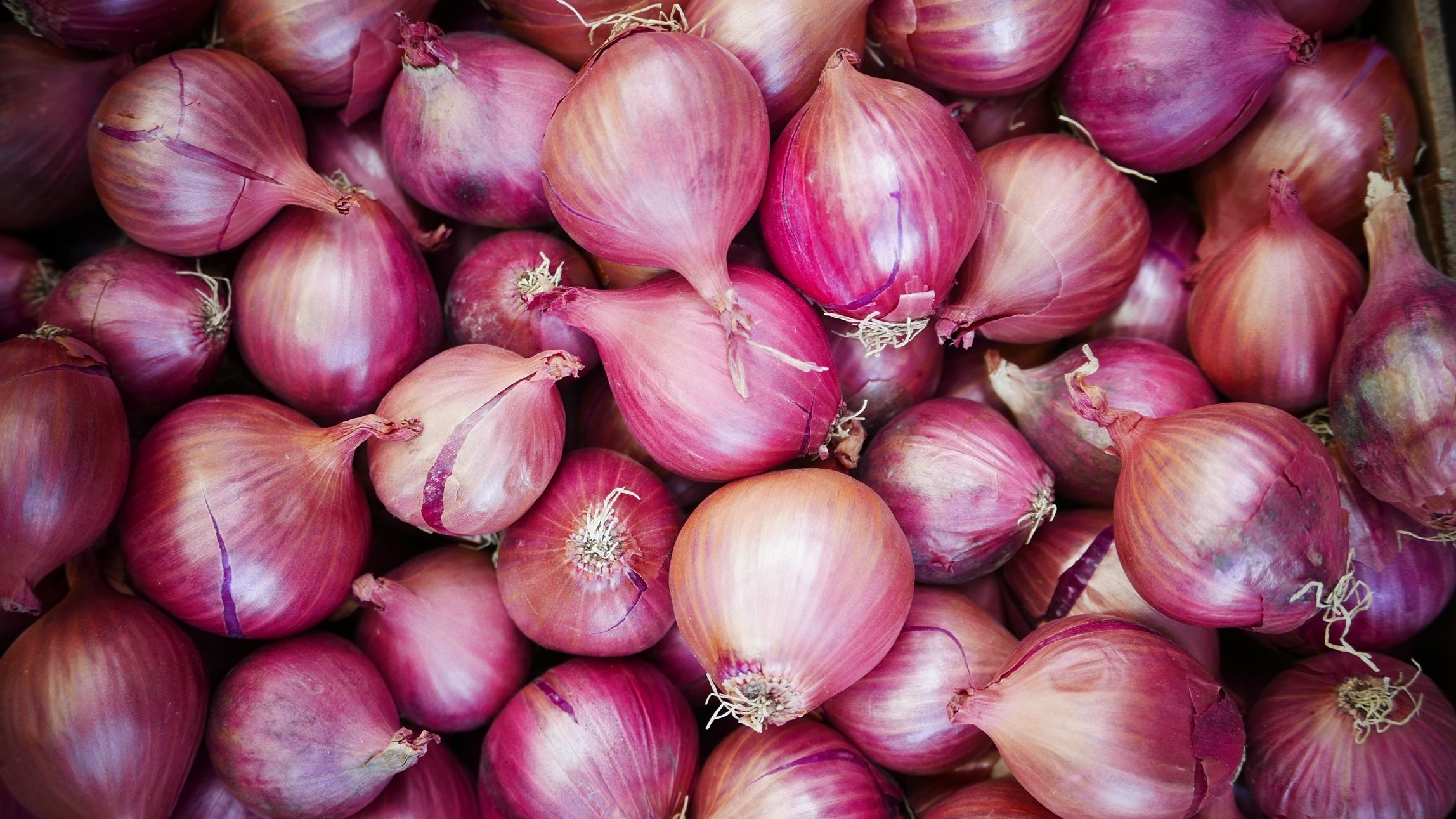 full-frame-shot-of-onions-in-market-stall-562386223-59b97e59845b340010f8d76e.jpg