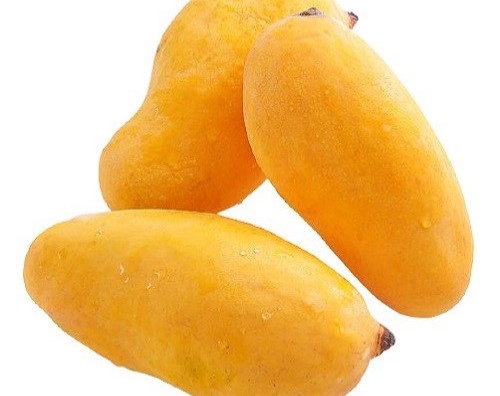 MDS-Sindhri-Mangoes